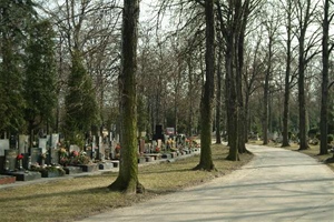 Hřbitov Hřbitov